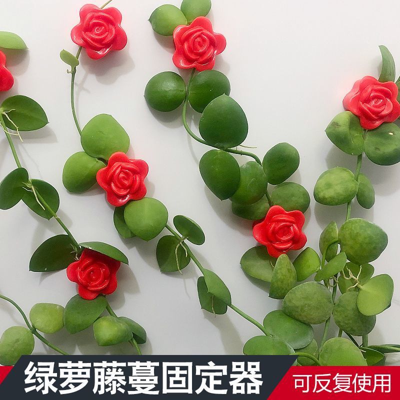Green Plant Climbing Wall Tool Vine Indoor Greenery Nail-Free Wall Adhesive Hook Wall Fixer Traceless Climbing