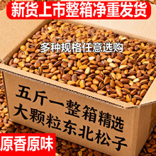 ��5-10����ء��|������2025��؛�_�����шԹ��ɹ������������l