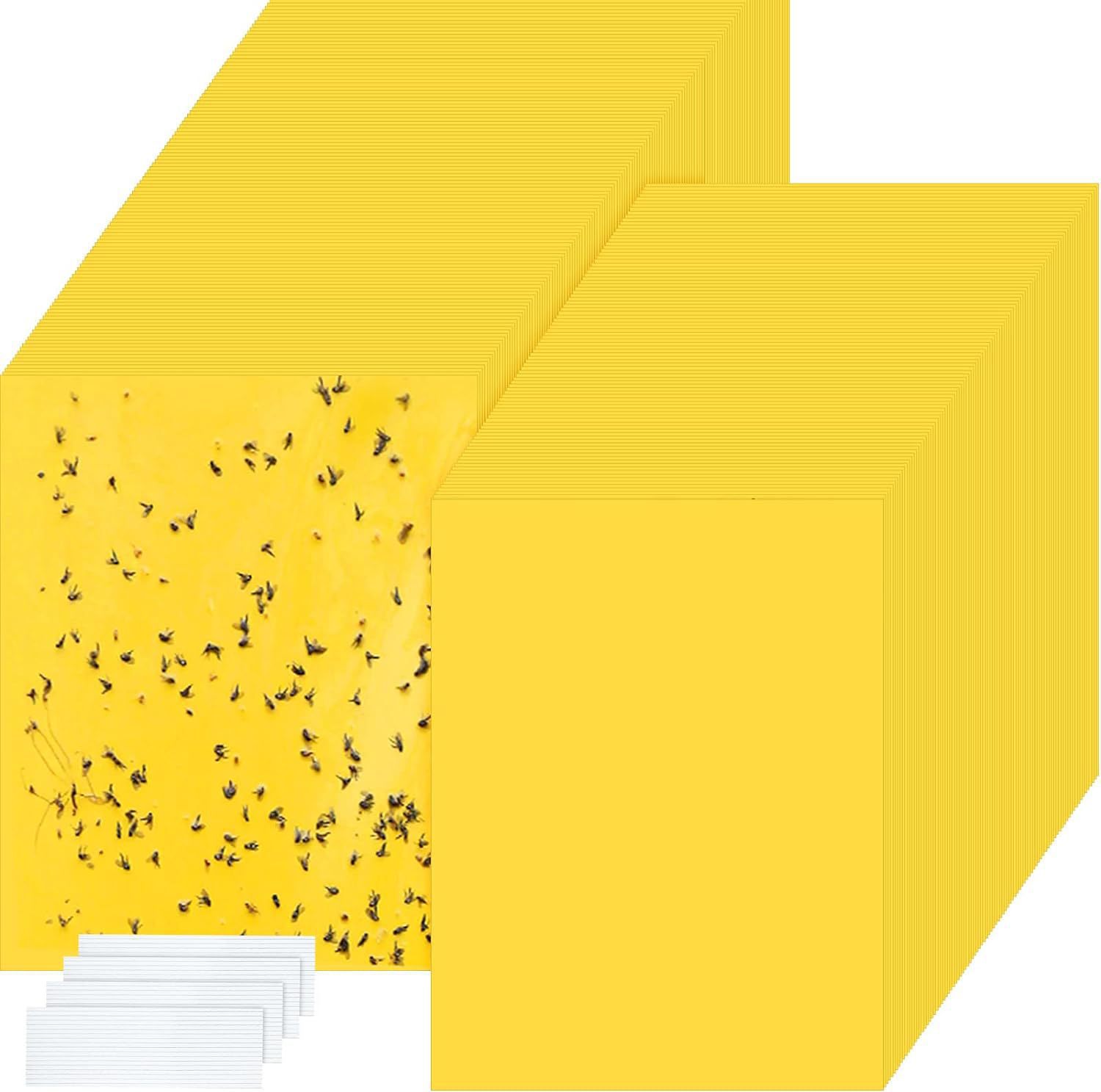 71eHdE0eB8L._AC_SL1500_