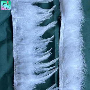 ���l���N��ë���uë��ë���l������bdiy�Ʒ�Ҿ��b�