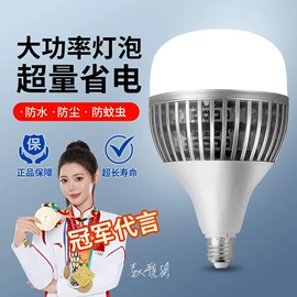 LED球泡灯;吸顶灯;节能灯