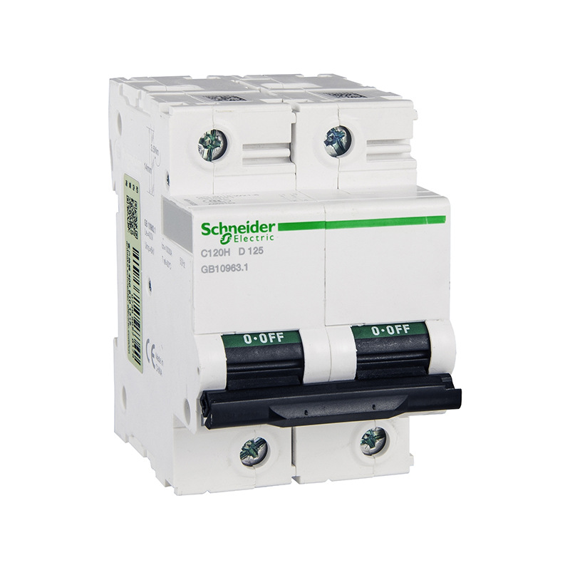 施耐德电气 微型断路器 C120H 2P D 125A | A9N19829