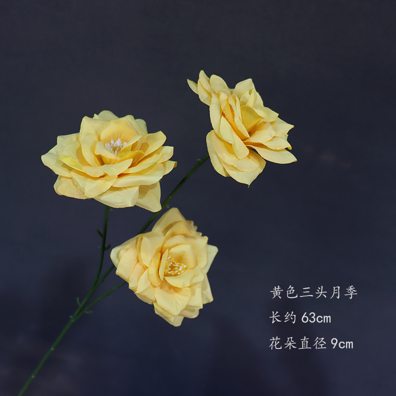 노란색 삼두 장미의 가지