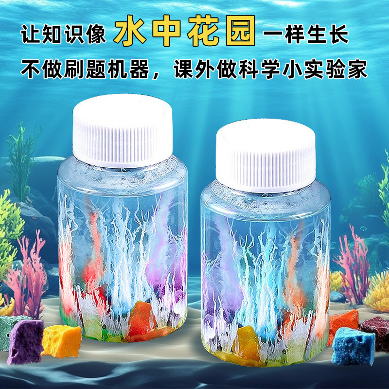 Water Garden Magic Stone Technology Small Production Stem Maker Education Experiment Material Pack Kindergarten