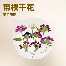 ��֦��Ů�Ѹɻ������ֹ����Ę���N��������~Ѻ�����ϰ�ֲ��˱�