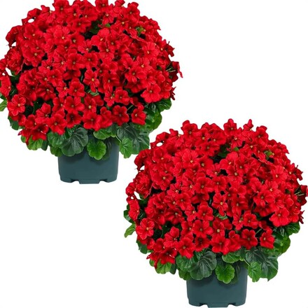 How to Research a Company Before Signing a Contract