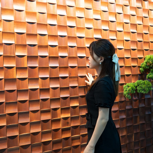 �����A��ľ�W�Uɢ��Ƶ���������ʽ���w������2023�b߼���