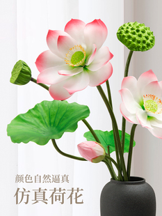 �ɻ�ɏ����~ɏ���͏d�b�ˮ���b����쾰�zӰ����