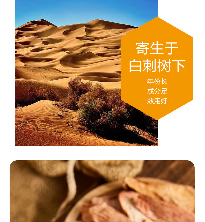 Premium Alxa Cynomorium Slice 250g Peeled Suo Yang for Herbal Wine and Decoction quality and texture