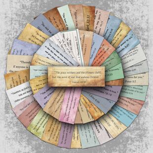 50�����������N���͹�Ӣ���Z䛿羳���u���ַ�ˮ�b��֎��N�����l