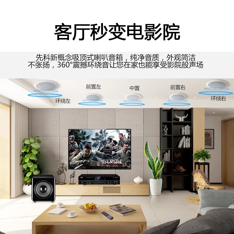 国境を越えた工場はSAST/s 4のトップスピーカーbluetooth家庭用天井スピーカーの商用壁掛け背景音楽音響を提供している|undefined