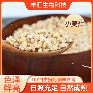 ��������s�ZС�����l С�����^�L�^�Y С����ȥƤ���� �r�����