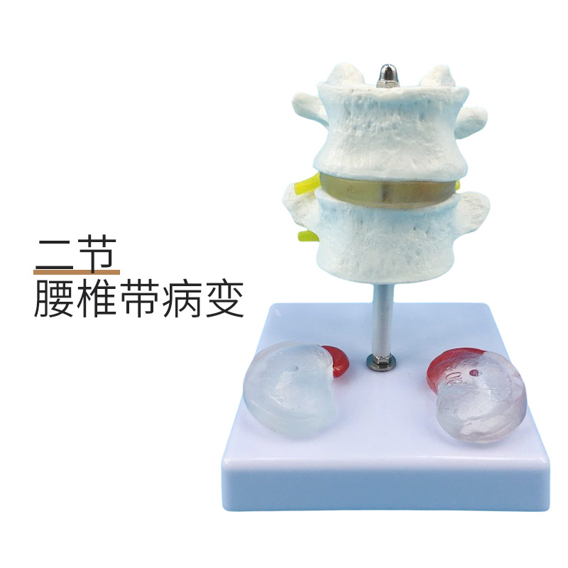 �����׵������ģ�� ����ģ�� ���ģ�� �������ģ�� �ɹ�׵����