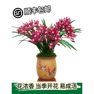 īmmԎmļB׻҃^ܾGֲֲ