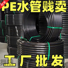 peˮԁˮӲl20 25 50 75·ȴ