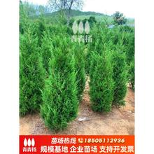 ؘɘѩͥԺLȰuĹ؈@֌ؾG