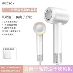 高速ヘアドライヤー家庭用クロスボーダー寮冷熱風マイナスイオンネット赤大出力ギャラリー電気ブロー卸売り