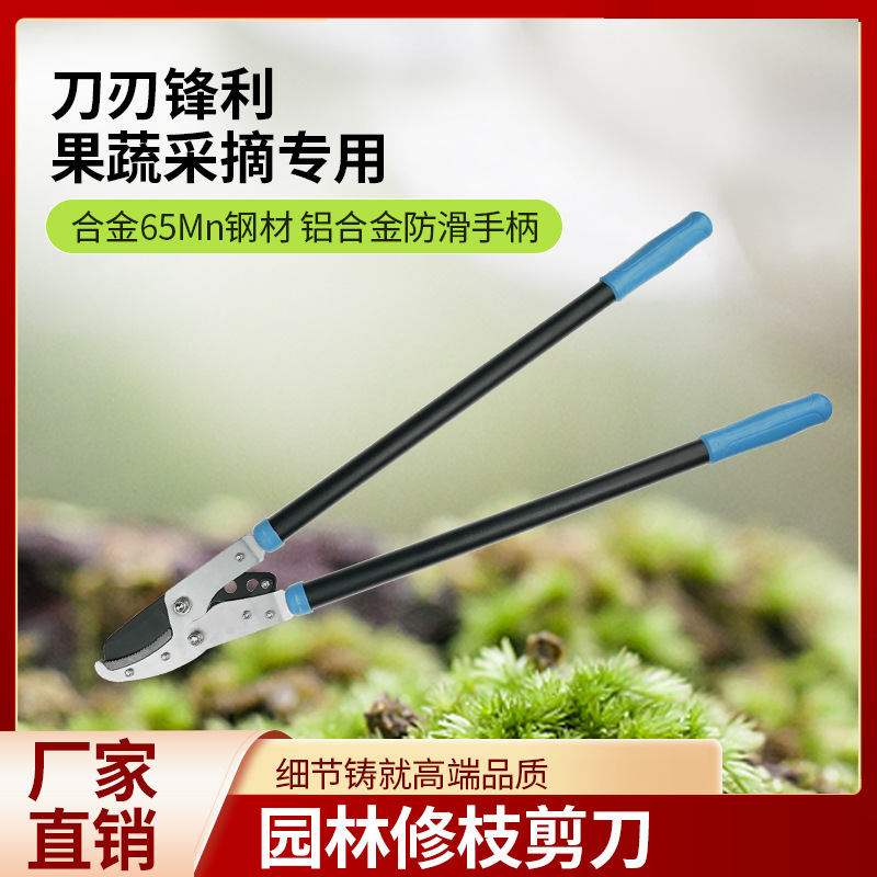 剪枝剪刀果树修枝专用树枝剪园林修剪神器强力修大力粗枝大枝省力