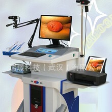 肛肠治疗仪 电脑款肛肠综合治疗仪\机，电子肛门镜选配