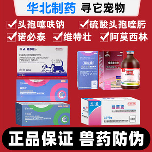 �A����ș�S�؉яͷ�������������Z��̩ע���������^������߻�c