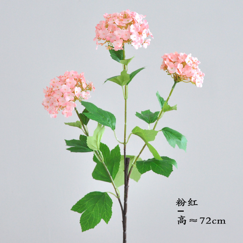 분홍색
