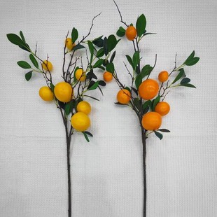 �����������ʯ����Ҿ��b{���Ĕz���߼�ֲ������ֲ��ƽ����