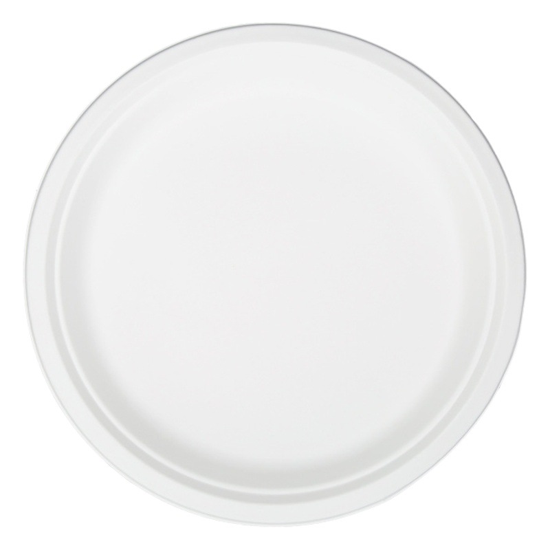 Placa de papel desechable jardín de infantes hecho a mano DIY pintura pastel barbacoa placa Placa de papel grande 12 pulgadas