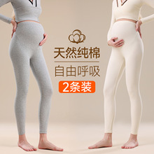 纯棉孕妇秋裤女不勒肚大码内穿秋冬棉毛裤线裤薄款怀孕期保暖衬裤