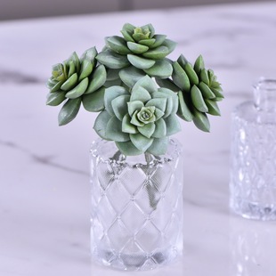 ��֪�������ֲ�����l����ʯɏ���̈��͏d�쾰��з���Gֲ��ʯ��