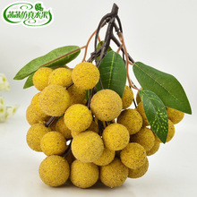 ����ˮ�����ٹ��Aģ�͙����Ʒ���۴���֦��÷�[���b�ˮ�������