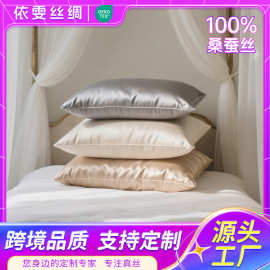 双面真丝亮版枕套100桑蚕丝22姆米重磅睡眠拉链枕套51*76cm批发