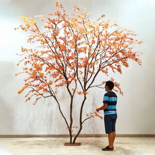 ���羰�^����Gֲ�����uצ�ʗ����b�������҃��̘I���g�[��