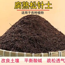 ���븯ֳ��Ӫ���������뻨��������ͨ���ʹ����븯����������Ҷ��