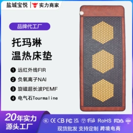 功能床垫;电热护膝护腰;按摩枕/靠垫