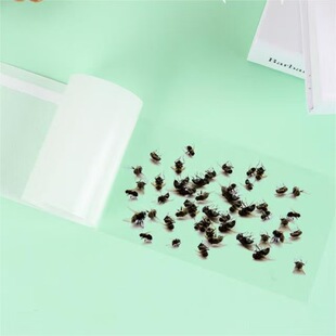 Invisible Transparent Fly-Sticking Fly Paper Fly-Killing Glass Sticker Household Fly-Catching Artifact