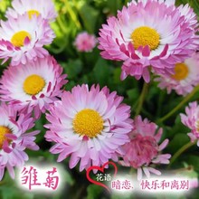 rշNһb̨ļ׻NӻԻ^pܷNl