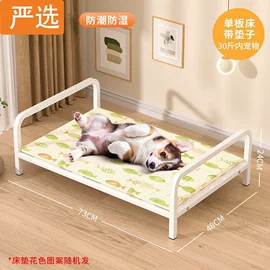 狗狗窝/笼/垫;猫猫窝/笼/垫;仓鼠窝、笼