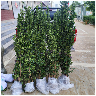 �ļ����� �����G�h�� ��·���x���ϱ����Nֲ 1.5�ׅ����������S��