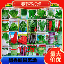 һ�����l�߲˷N���ļ����N�̨�r��ͥԺ�������˲��˾²���˲�ݮ