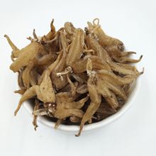 ���l��ș�ķ��օ� ���ƅ� ������ �ƅ� �օ�