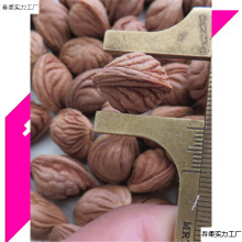 龙纹桃核秦岭野生山桃胡小桃核散籽刻佛珠手串文玩原料批发跨境
