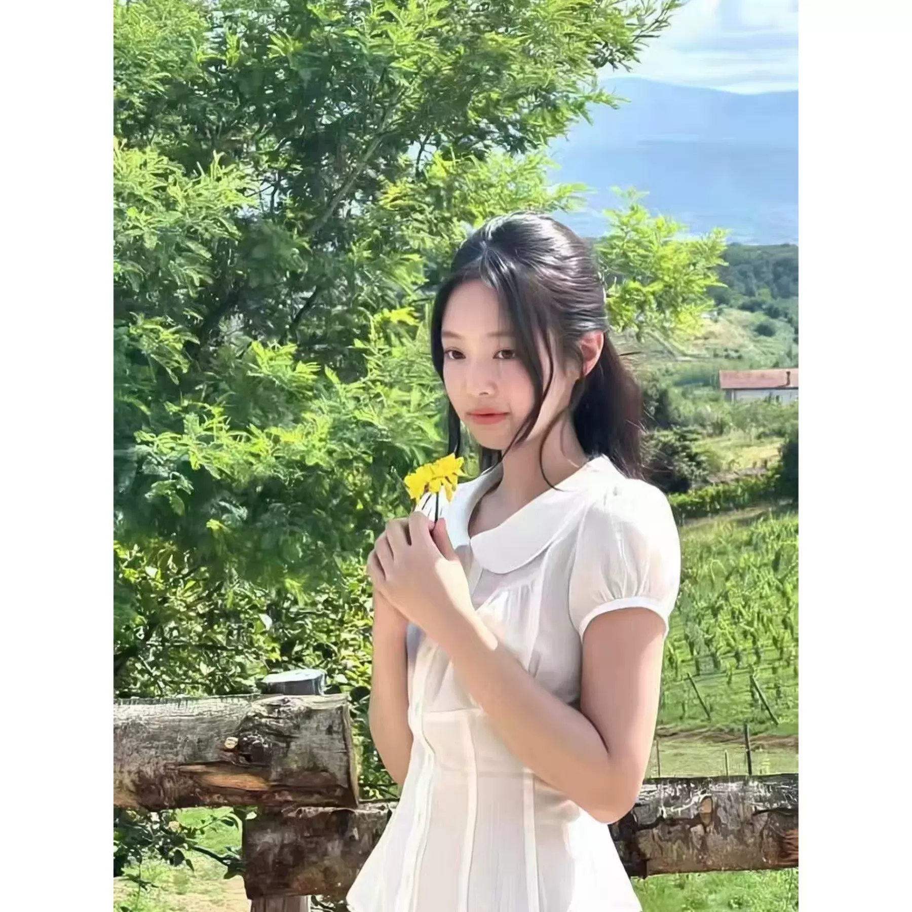 金智妮同款法式白色娃娃领短袖衬衫小个子收腰上衣女系带显瘦衬衣