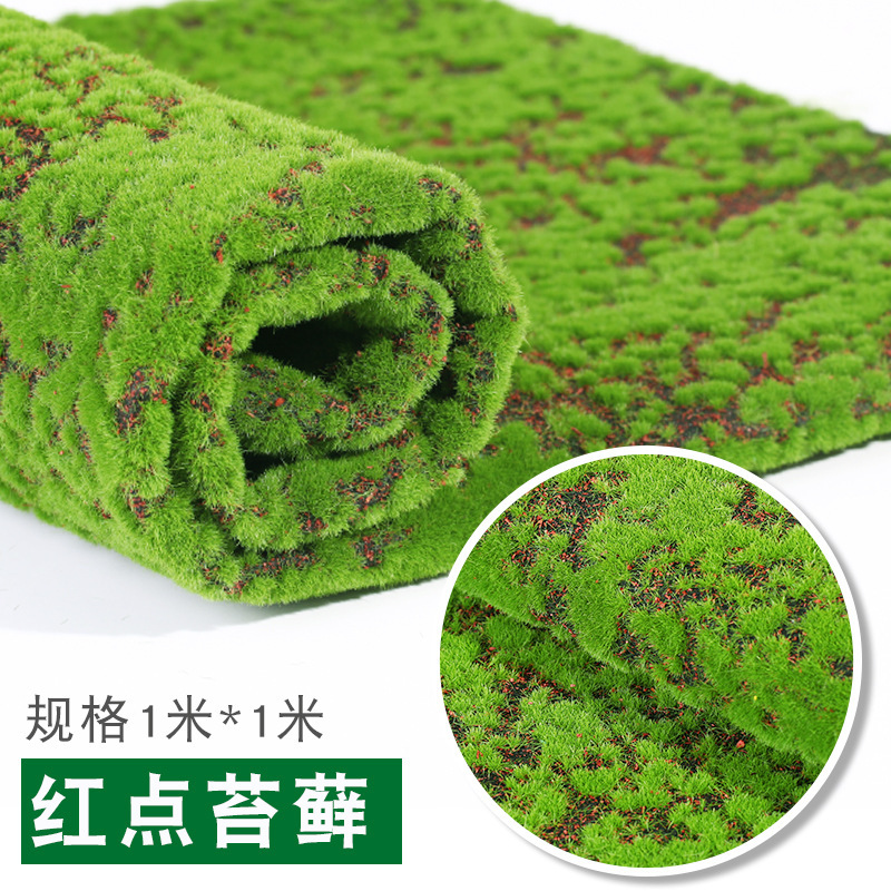 Red background moss 1*1m