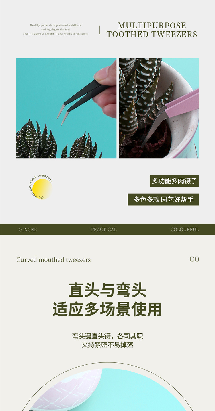 240202多肉镊子_08.jpg