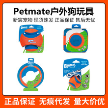 petmate宠物互动狗狗玩具宠物球边牧金毛哈士奇训练球足球