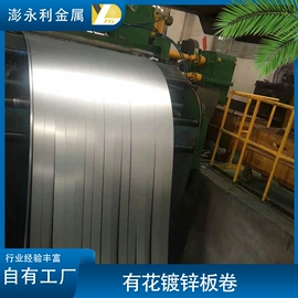冷轧卷;镀锌卷;冷轧板