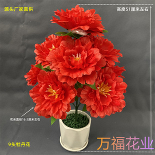 �o����9�^����ĵ����֦ �ٽ��������Q�������b������������l����