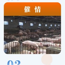 �īF�ù����l��޽�l���ڼ���ș������Nș����ĸ�ݰl������Ȯșș