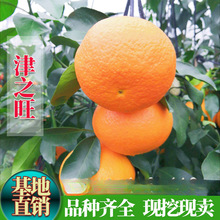�޽��������֮���̽����s�̘���̽ۘ���������Ե��Ԯ���Y����