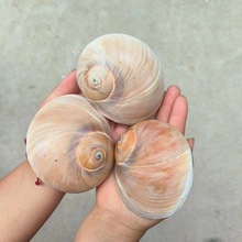 ���]��Ȼ�����ݺ�ؐ���~���b�diy��Y���N�R���ؐ�~�ľ�з��